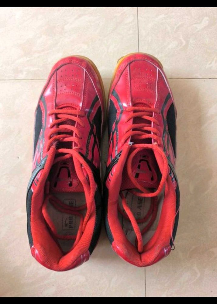 Red Sports Shoes - Badminton