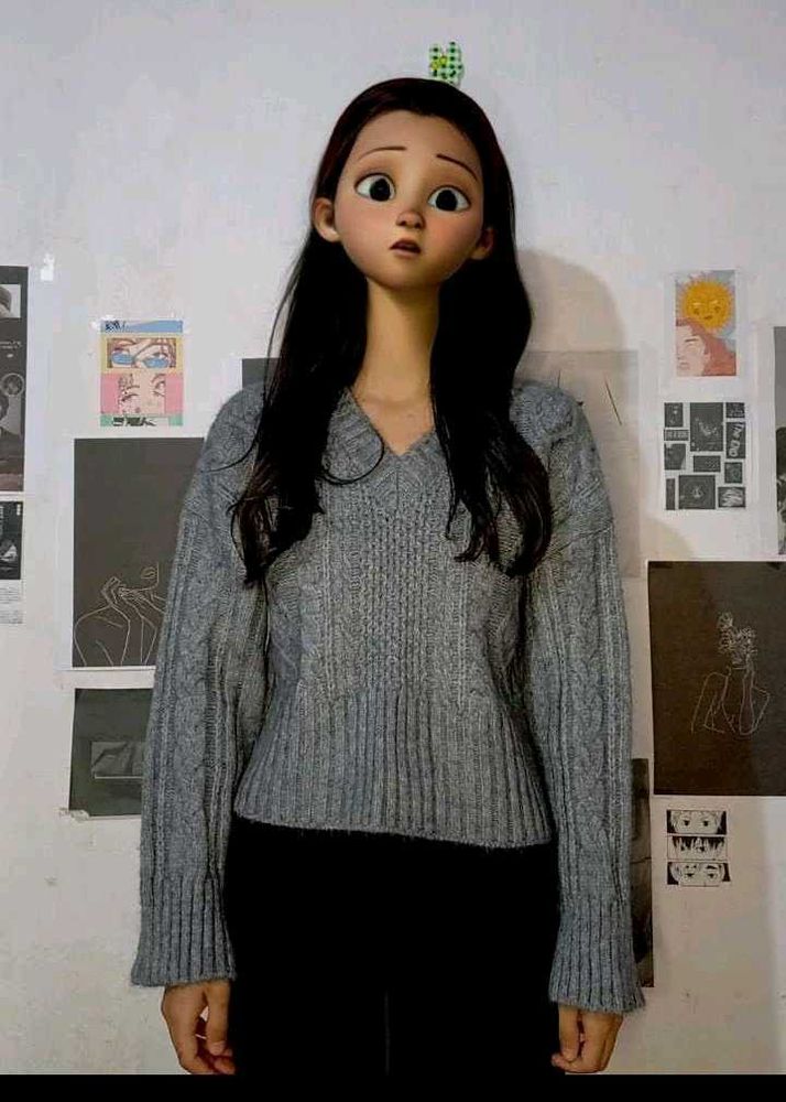 COMBO OF 2 SWEATER