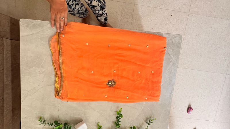 Orange Saree with Embellishments