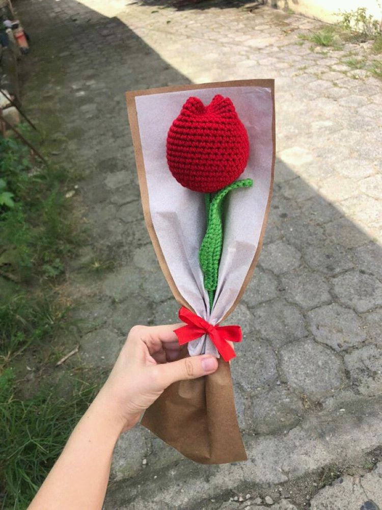 Tulip