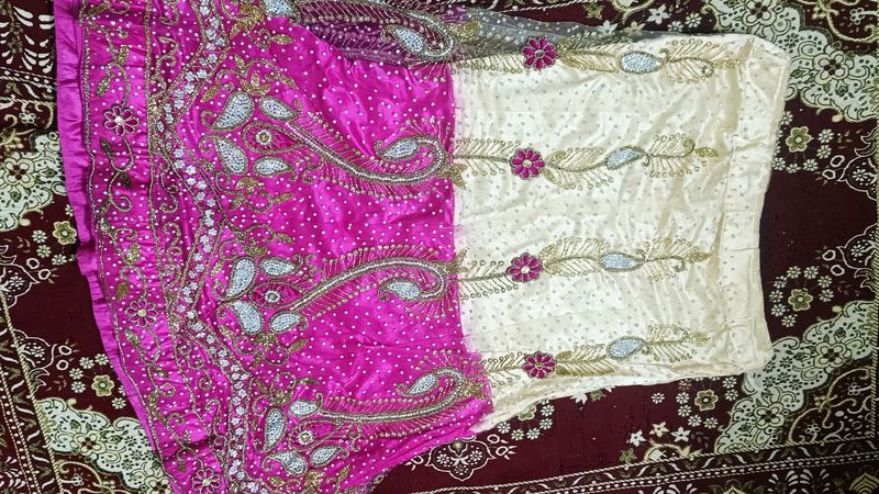 Embroidered Indian Lehenga