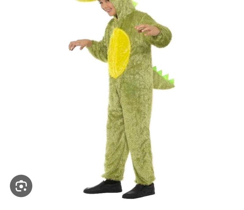 Cute Dinosaur Costume roompar