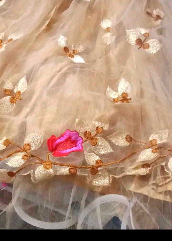 Designer Embroidered Lehenga Choli