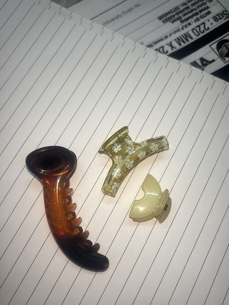 Chic Claw Clip Set