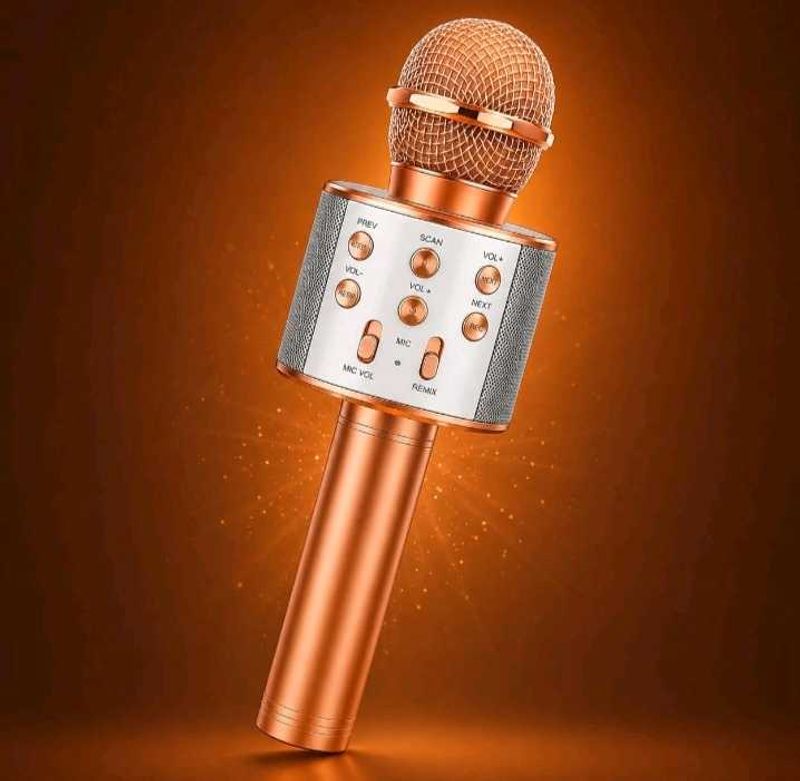Portable Wireless Mic and Bluetooth speaker.