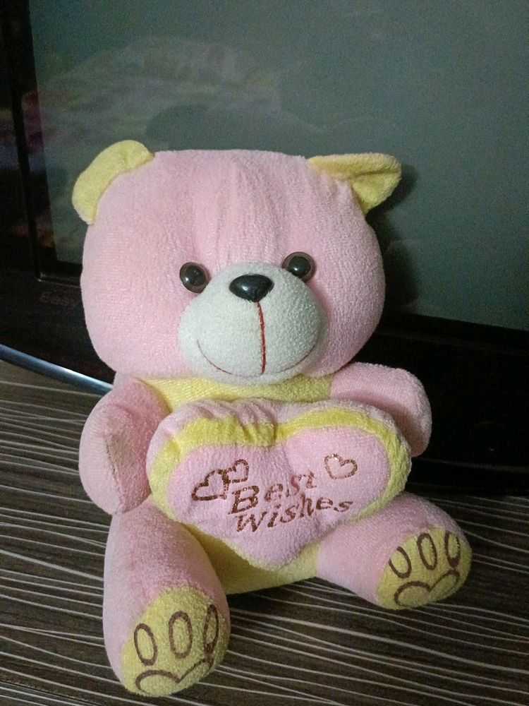 Plush Teddy Bear