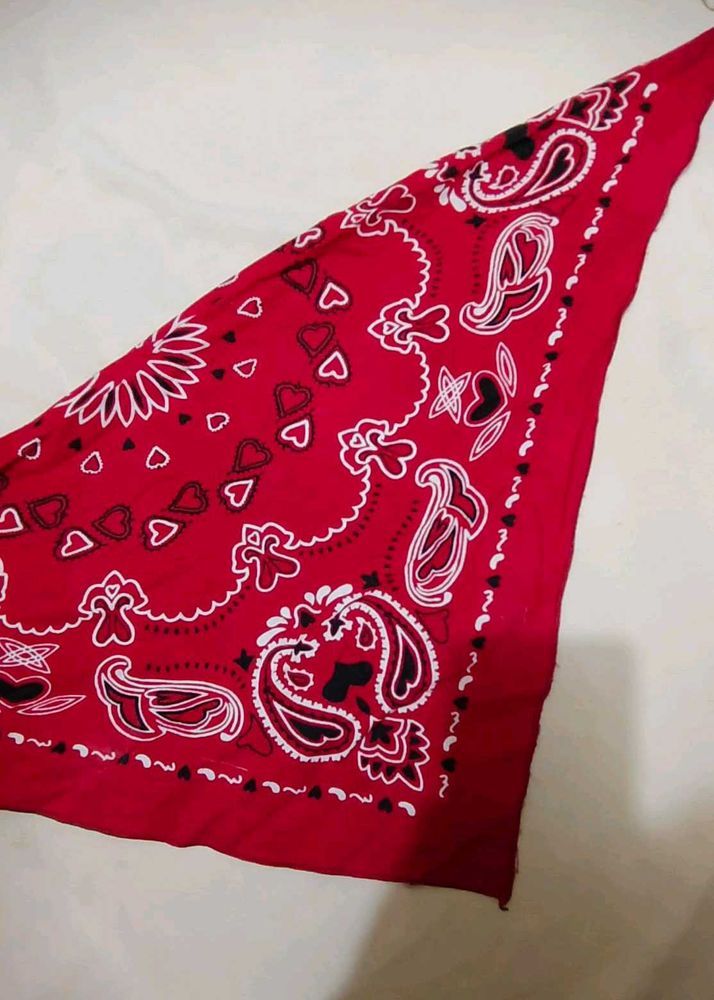 ✨Red Paisley Bandana🧣✨No Swap