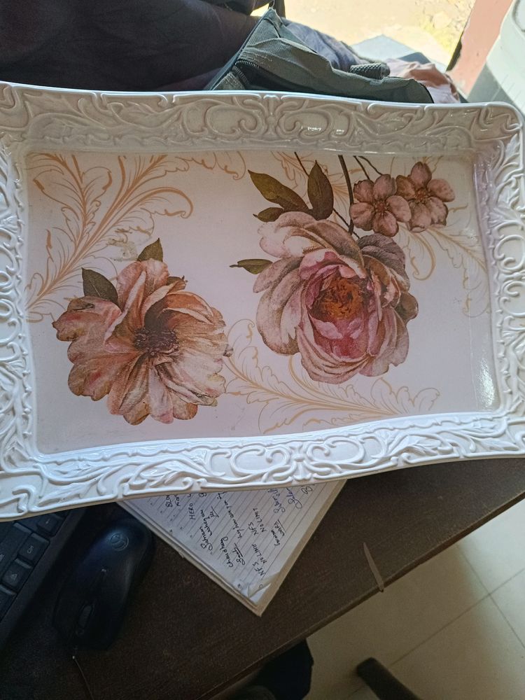 Plastic Plate