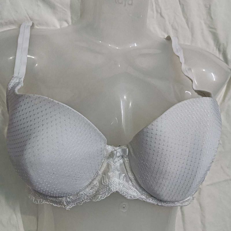 pedded 36D🤎