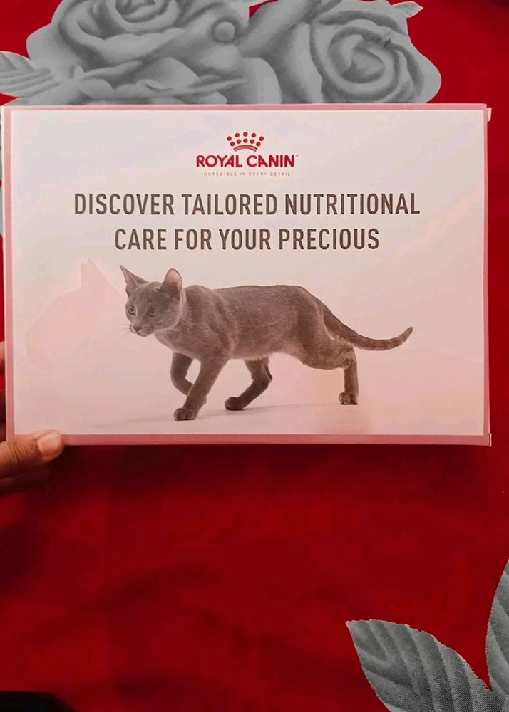 Cats Food