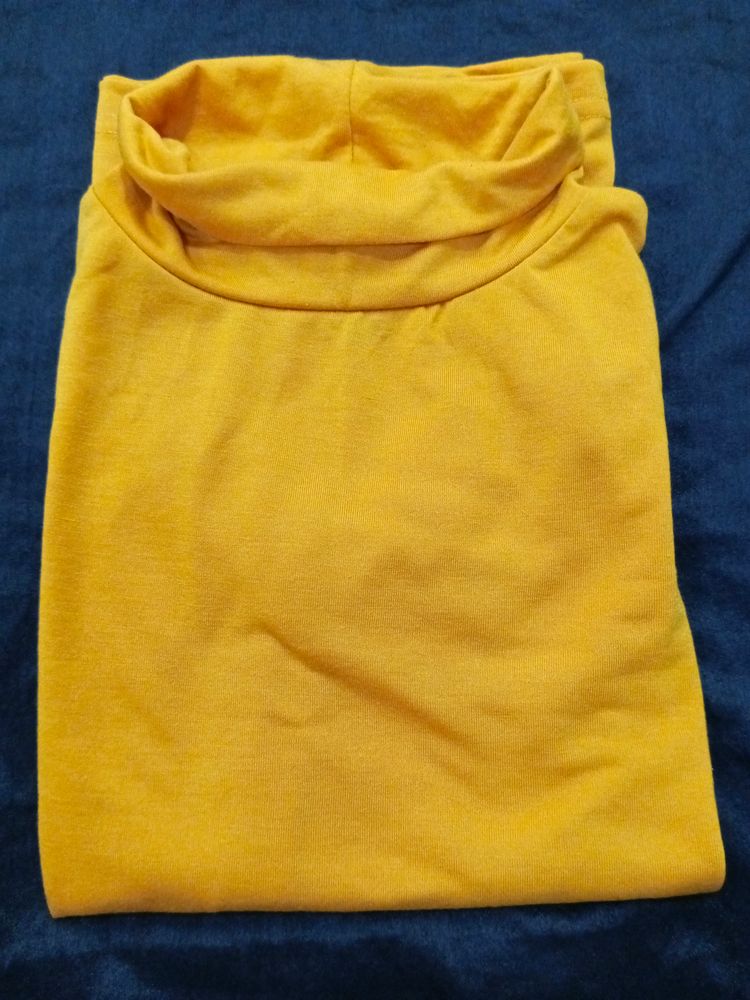 NEW Branded Turtle Neck -2