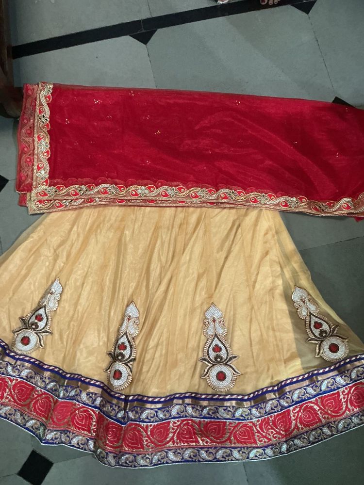 Beautiful Lehenga Choli Set