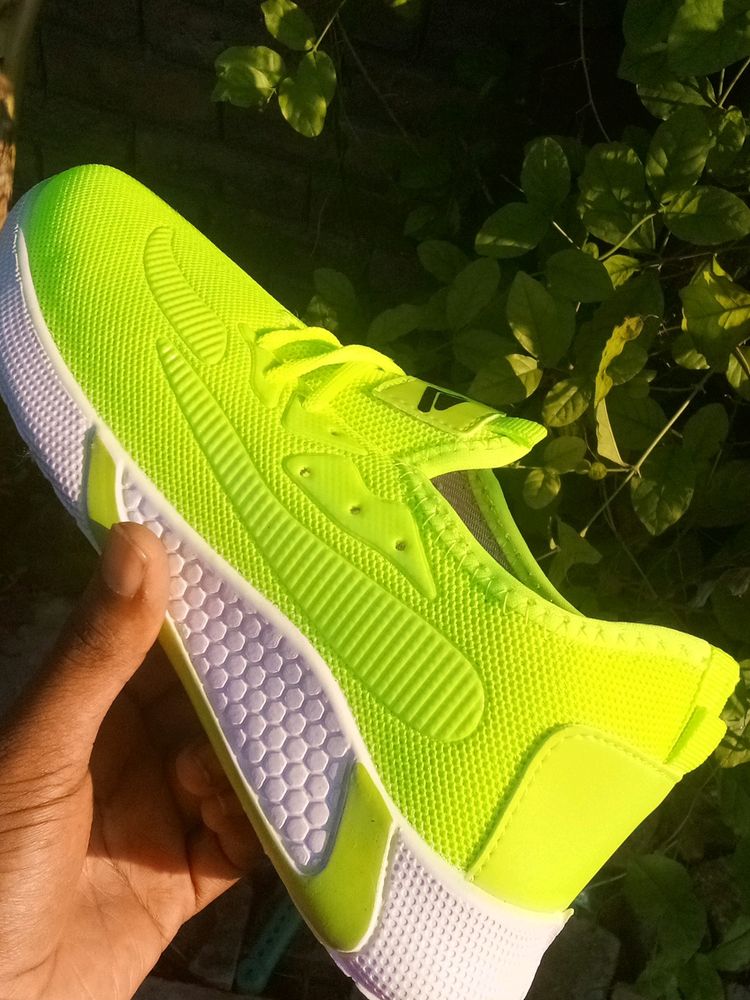 GREEN And WHITE SHOE FOR MEN