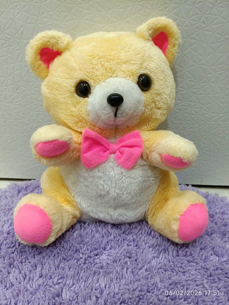 Adorable Plush Teddy Bear Toy