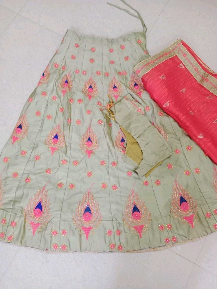Beautifully Embroidered Lehenga Choli