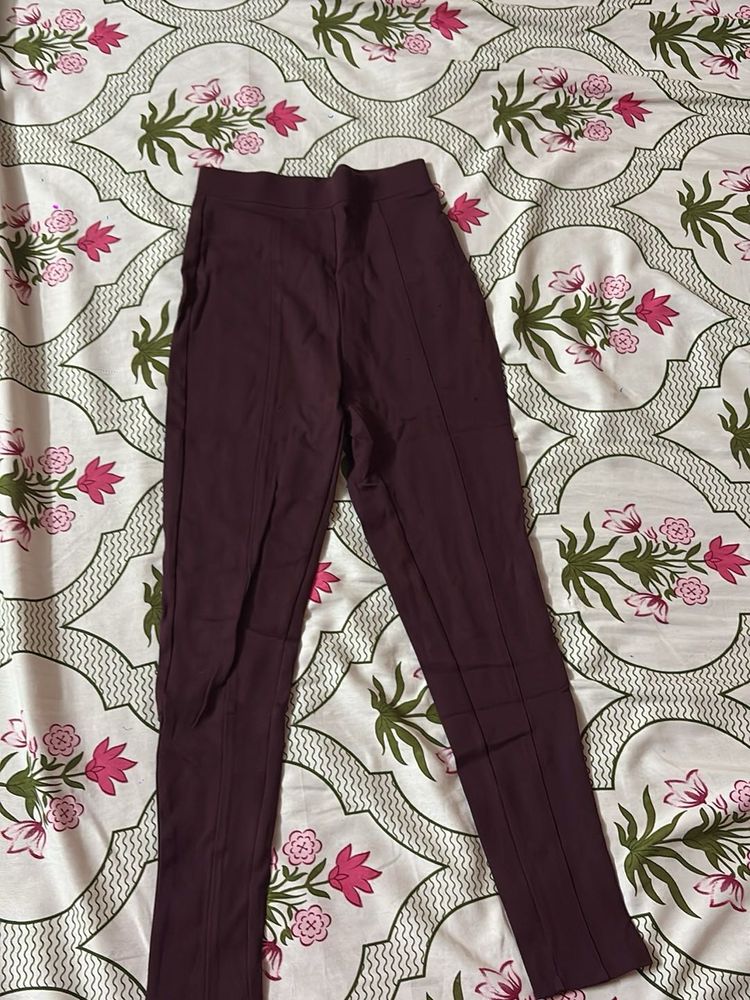 Stylish Maroon Pants