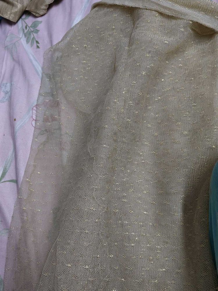 Sparkly Beige Net Dupatta