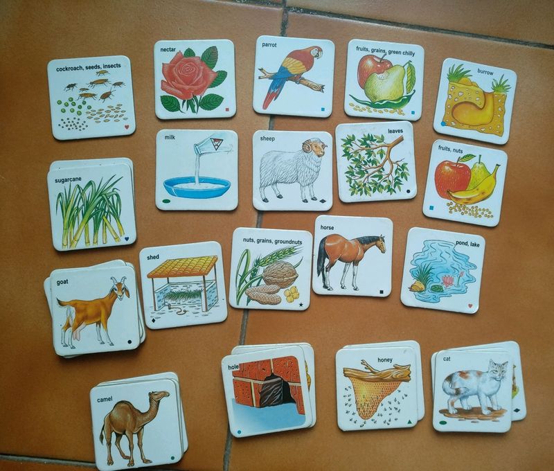 Vintage Educational Flashcards Set 30 cards