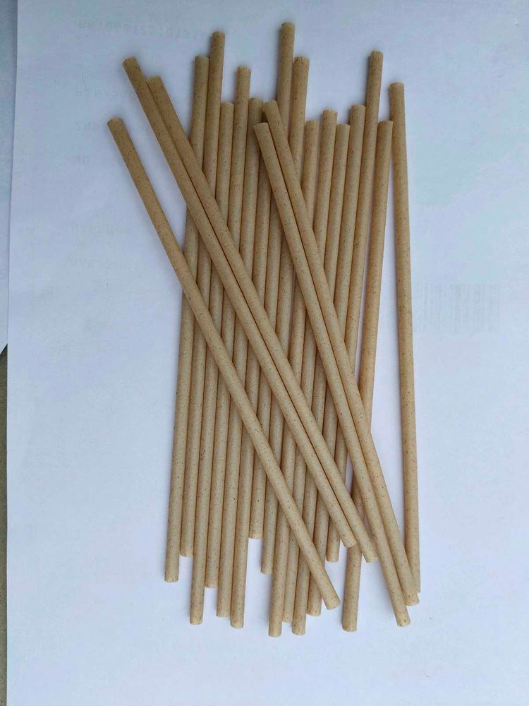 Eco-friendly Drinking Straws