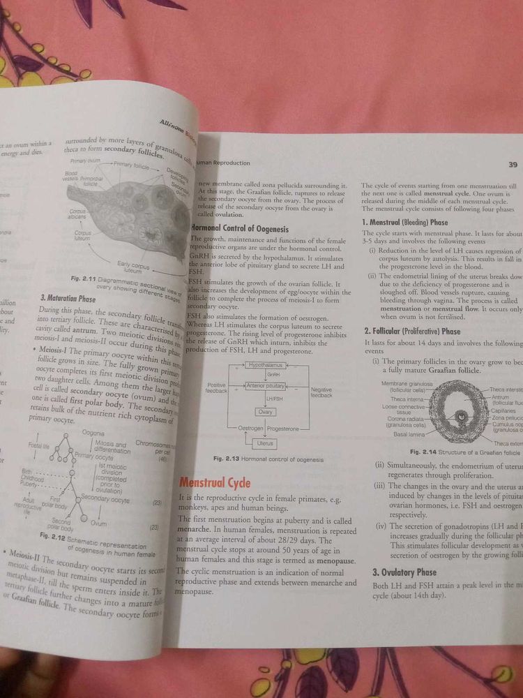 Biology Textbook - Menstrual Cycle