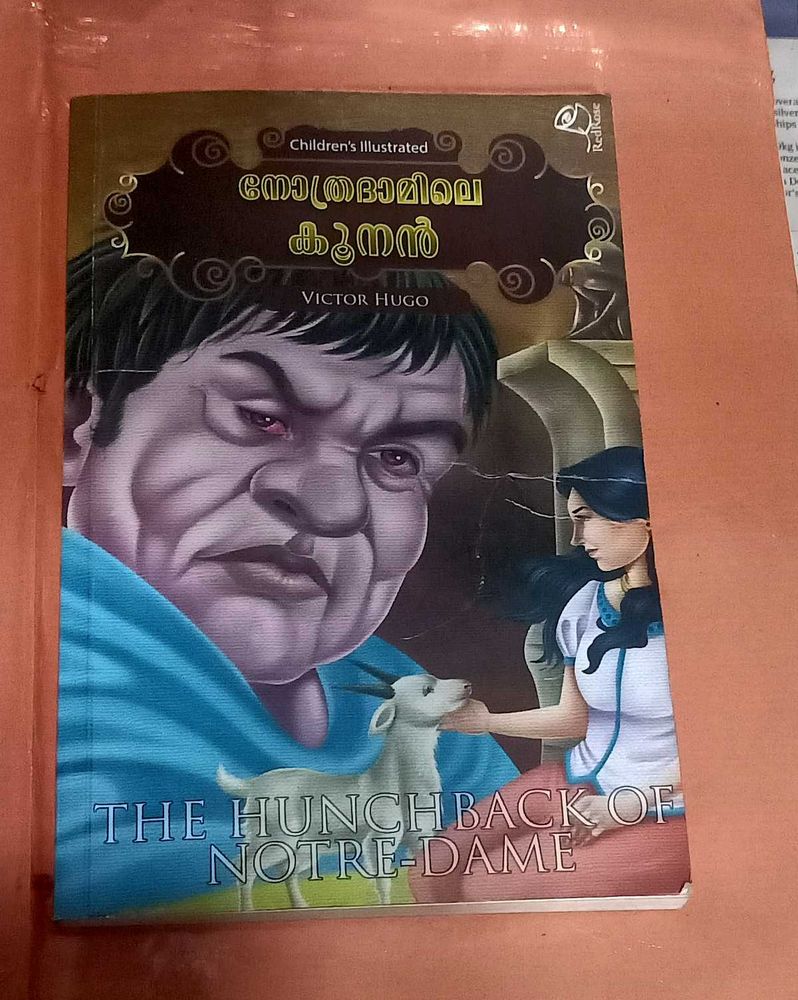 The Hunchback of Notre Dame Book