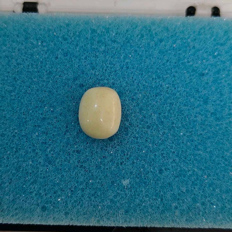 Elegant Cream Oval white real coral Gemstone Ring