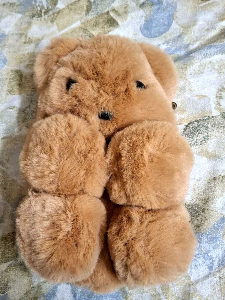 Teddy Bag
