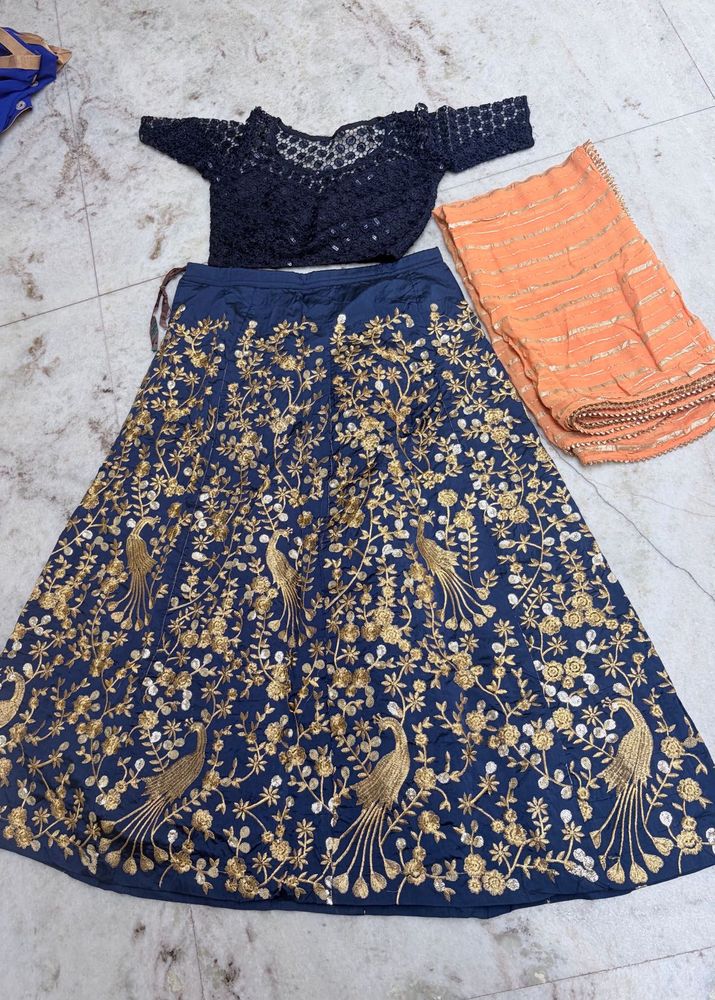 Embroidered Lehenga Choli Set