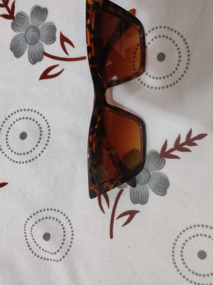 Stylish Tortoiseshell Sunglasses