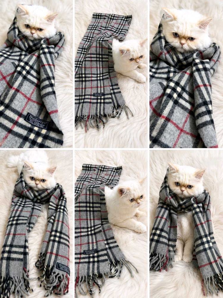 Burberry Plaid Scarf