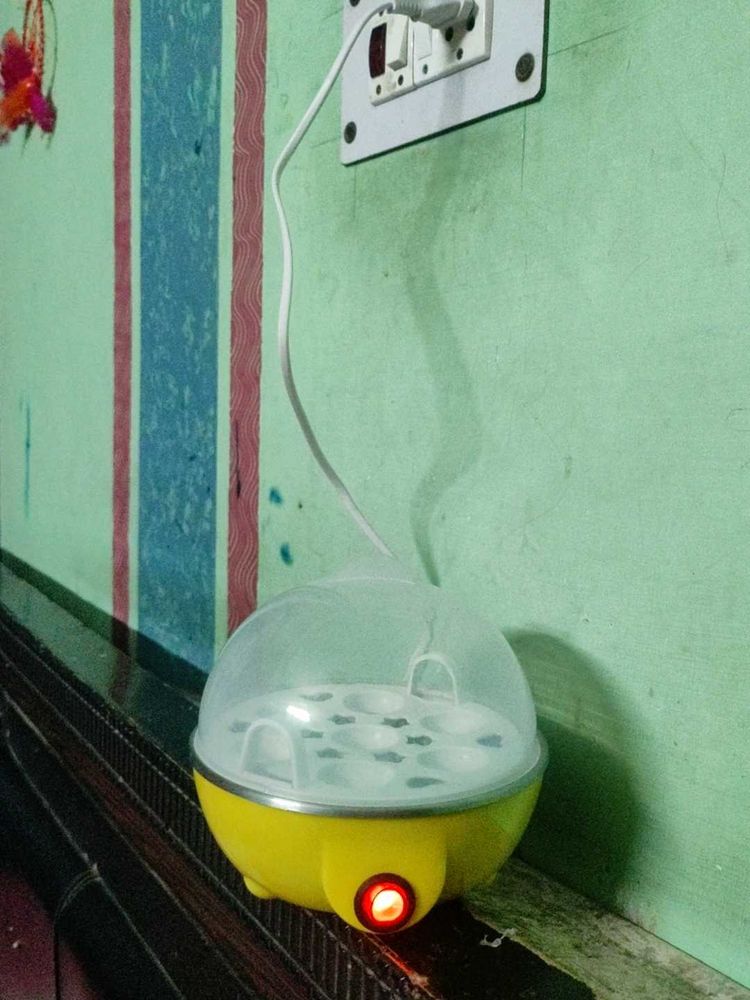 Electric Egg Cooker