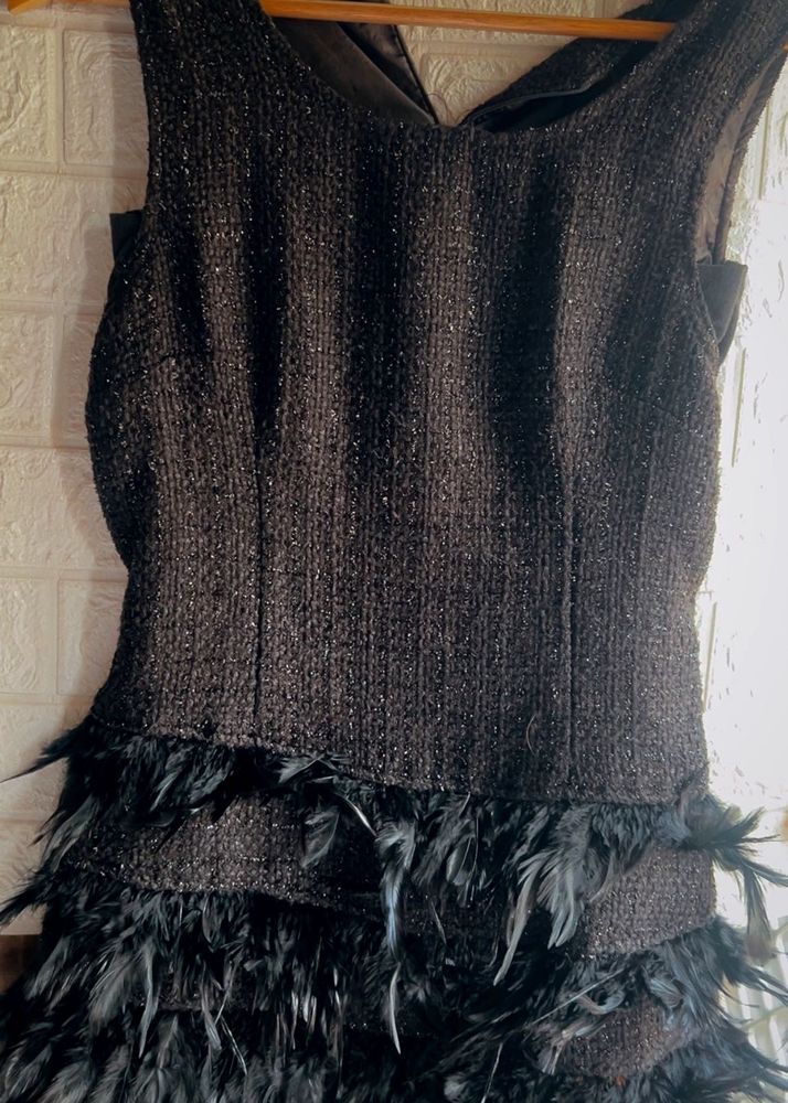Black Feather Trimmed Dress