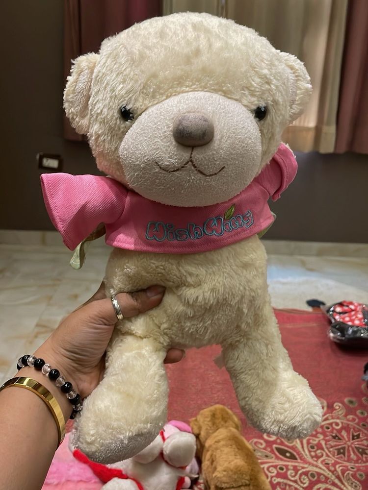 Cute Stuffed Teddy Bear