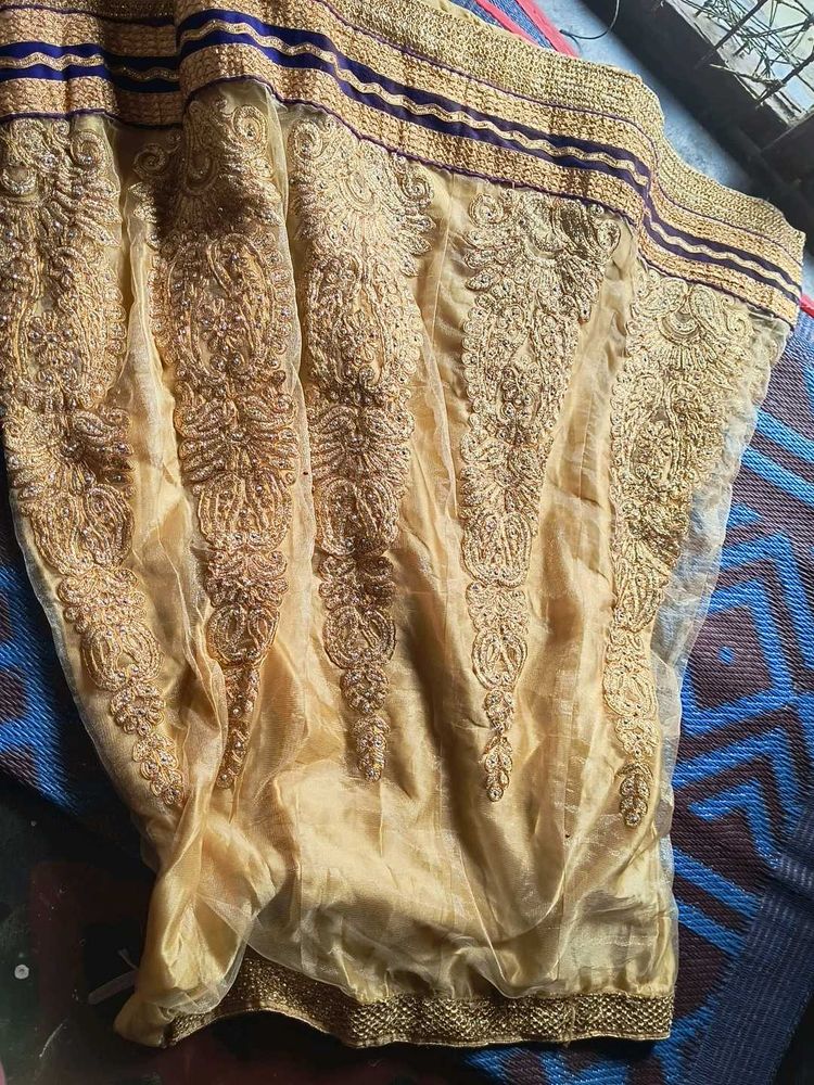 Exquisite Embroidered Lehenga Skirt no duppata