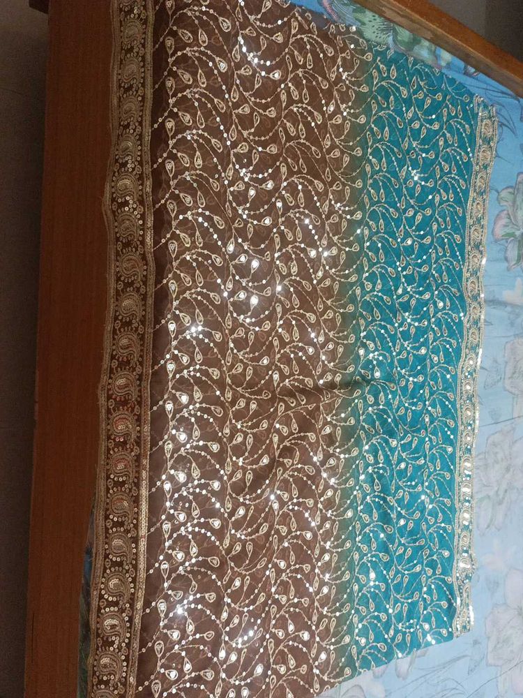Elegant Ethnic 2- Duppata's (Chunni's)