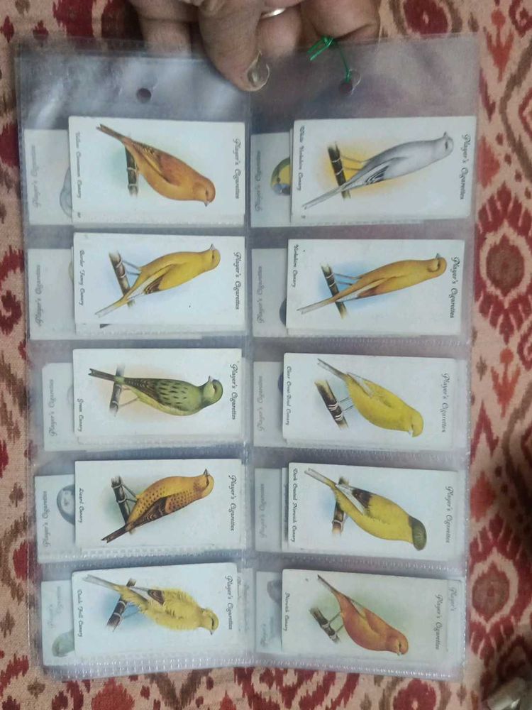 Vintage Bird Cards
