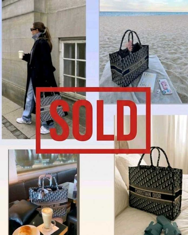 Christian Dior Large Book Oblique tote bag