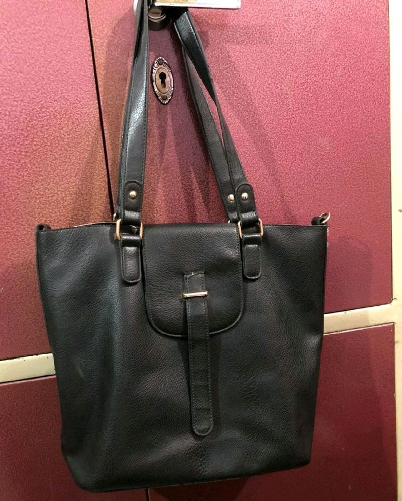 Satya Paul Bag