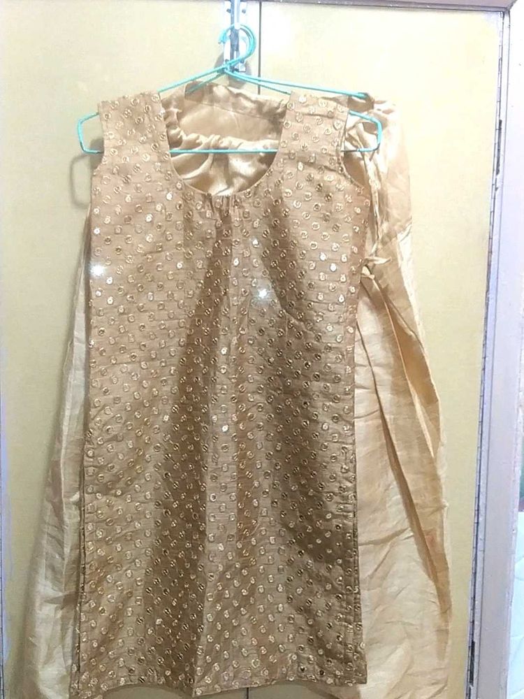 Gold Embellished Salwar Kameez