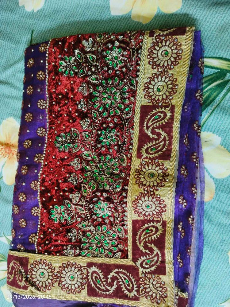 Embellished Velvet Saree