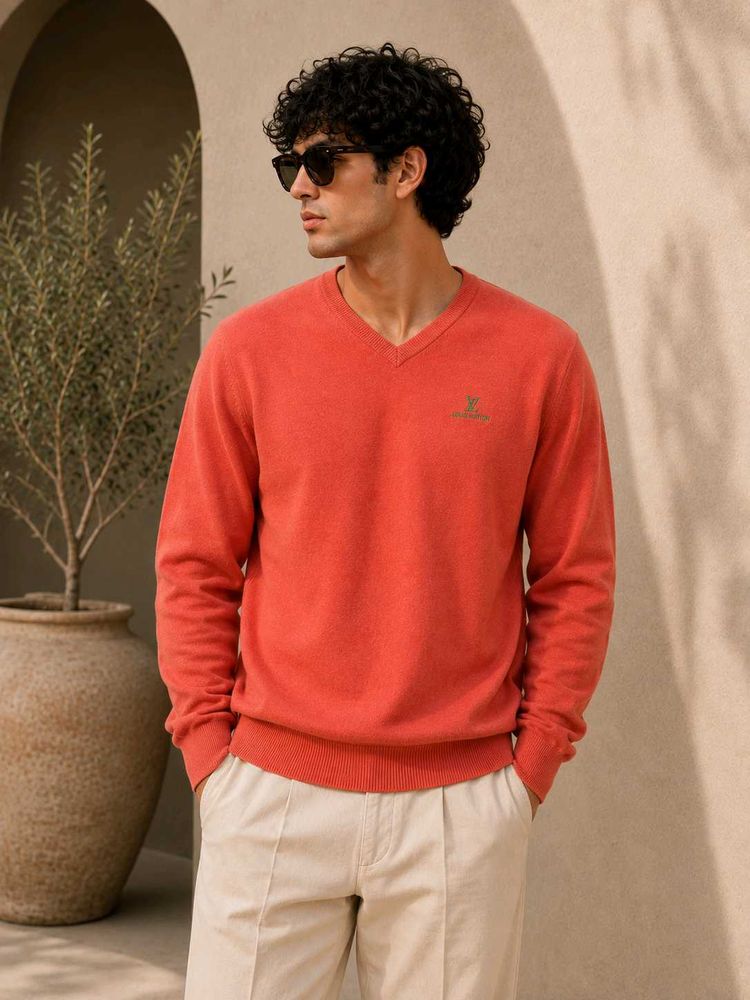 Men's V-Neck Coral Sweater
