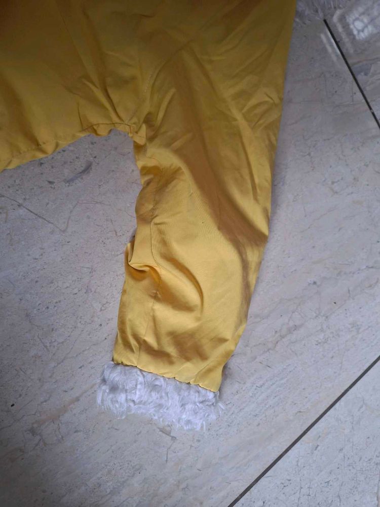 Cute Yellow Jacket