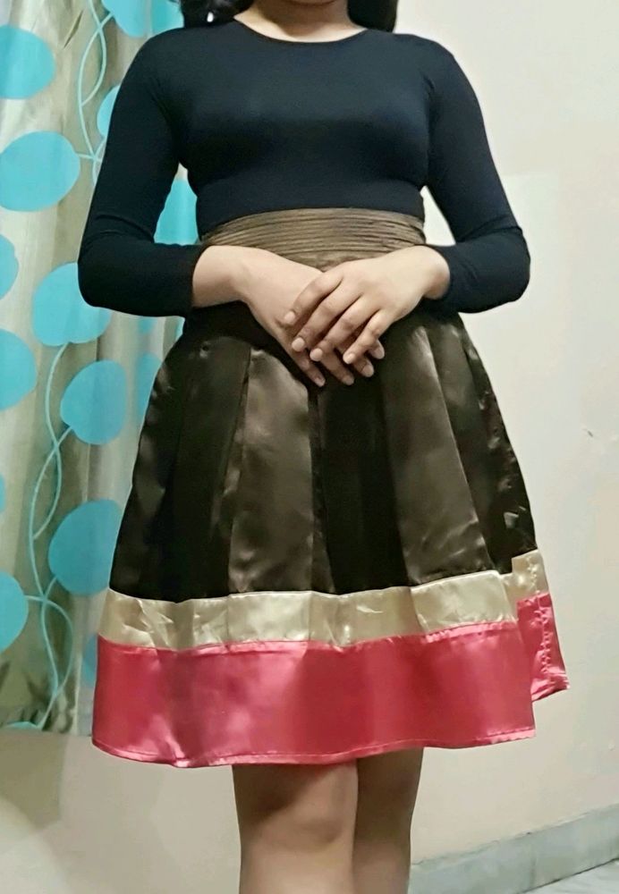 Brown and Pink Satin Skirt