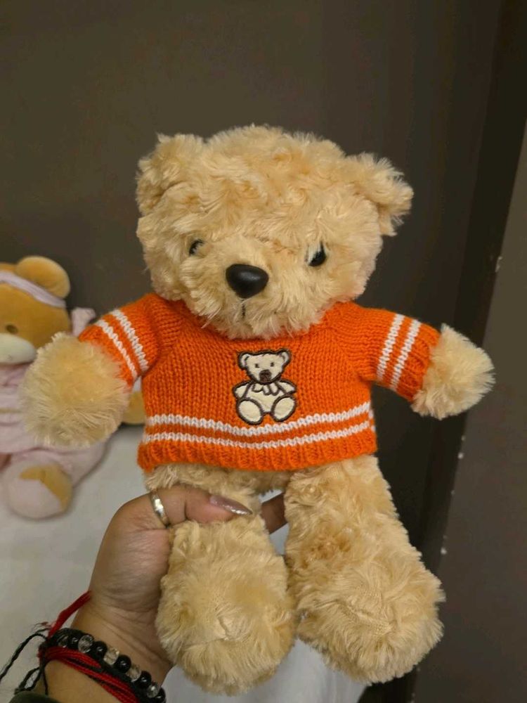 Cute Teddy Bear with Sweater