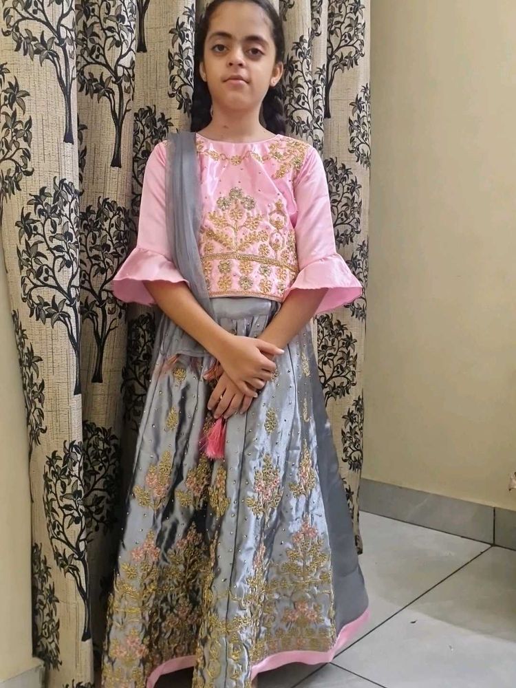 Beautiful Pink &amp; Grey Embroidered Lehenga Choli