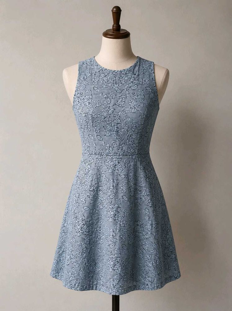 Chic Lace Fit &amp; Flare Dress