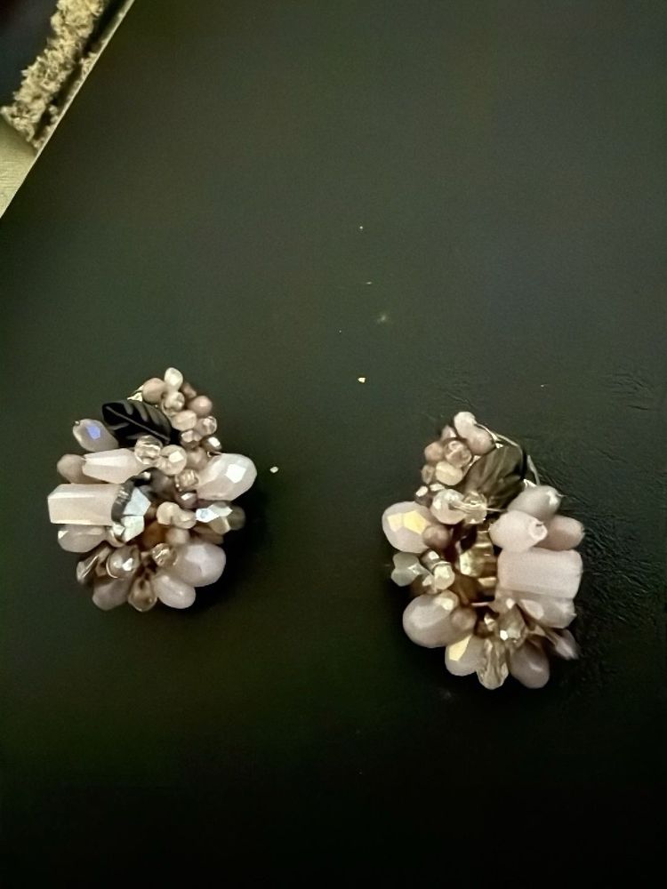 Exquisite Beaded Cluster Earrings