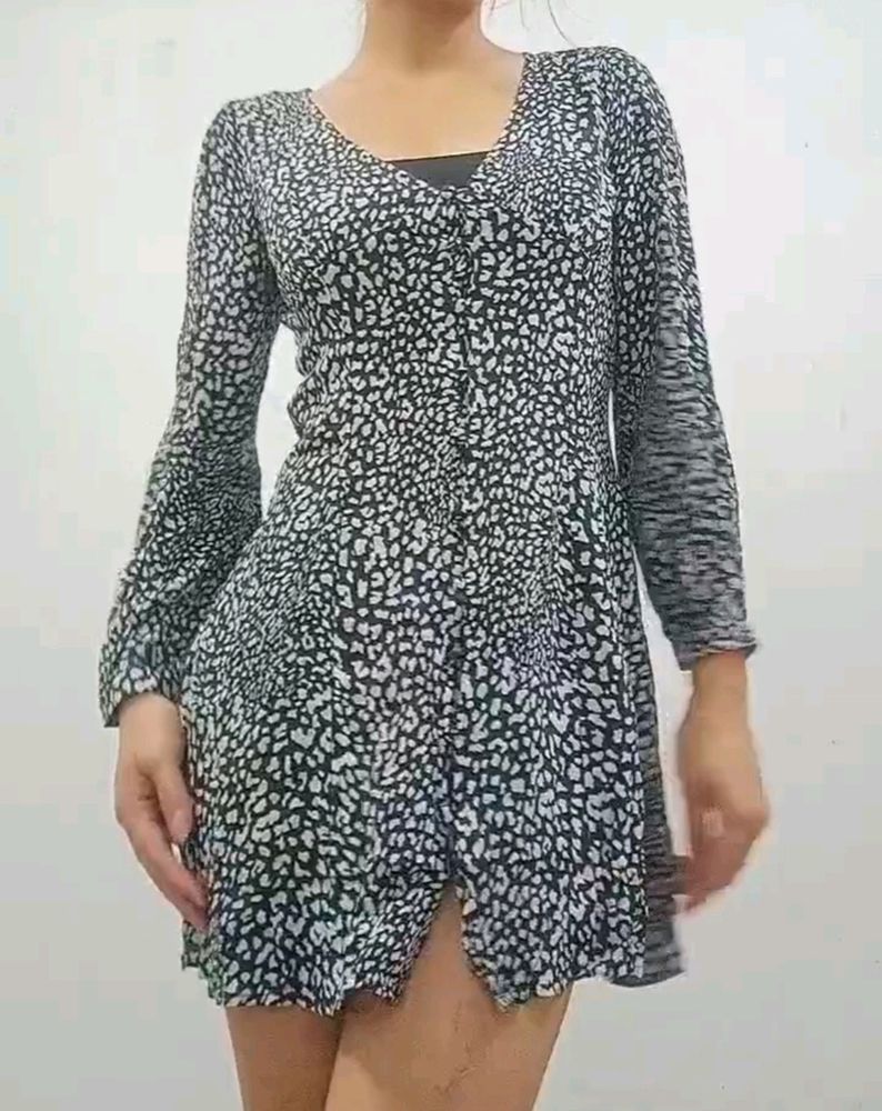Zara Leo Print Dress