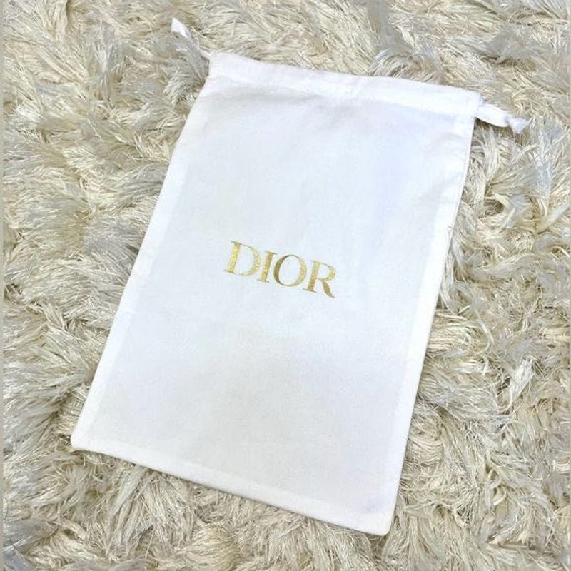 Christian Dior Dust Bag