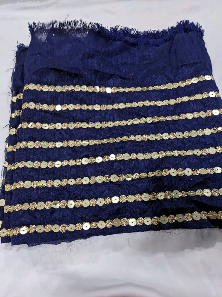 SEQUIN AND ZARI BORDER LACE